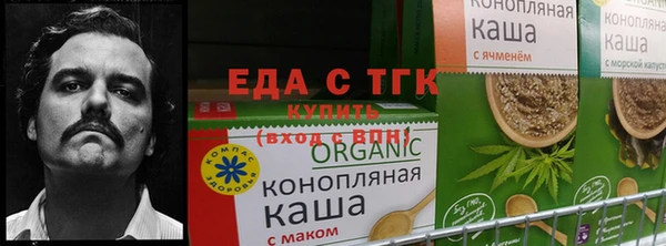 PSILOCYBIN Бугульма
