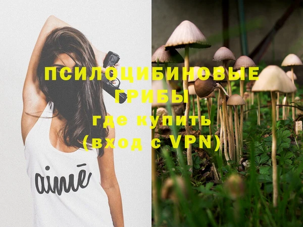 PSILOCYBIN Бугульма